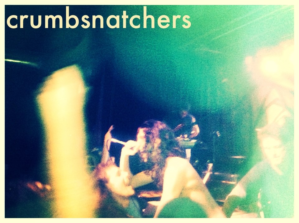 CrumbSnatchers press photo live