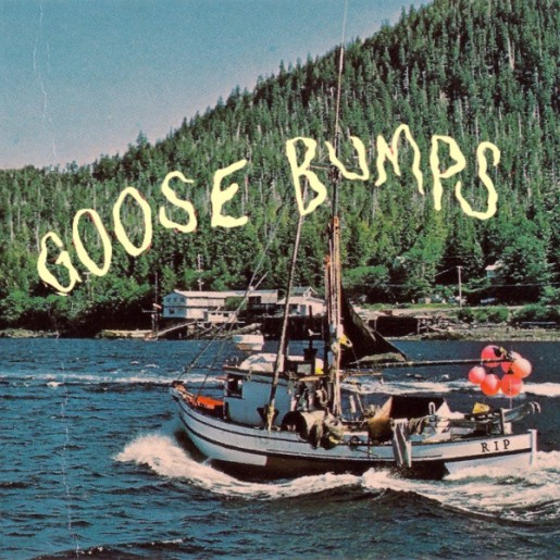 Boyscott Goose Bumps