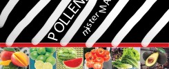 Pollens Mister Manufacture